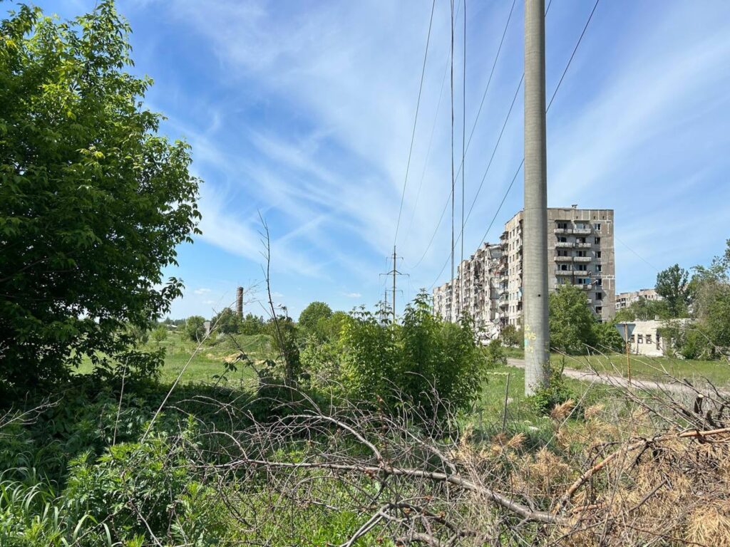 Торецк