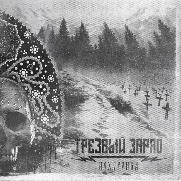 Основателя группы «Трезвый Заряд», певшей о&nbsp;«могилизации», оштрафовали за&nbsp;размещение песен на&nbsp;Apple Music